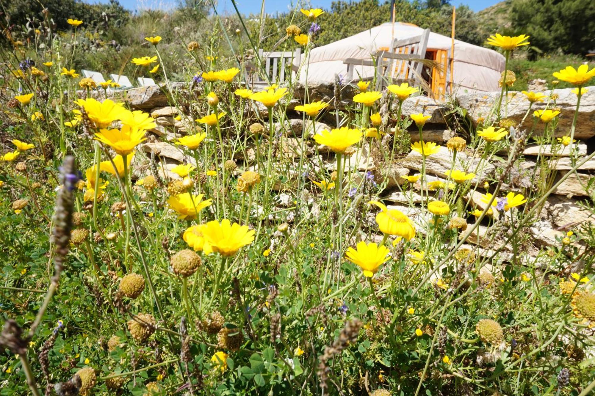 Bed & Breakfast Alegria Y Luna Acomodação com café da manhã Sorbas Exterior foto